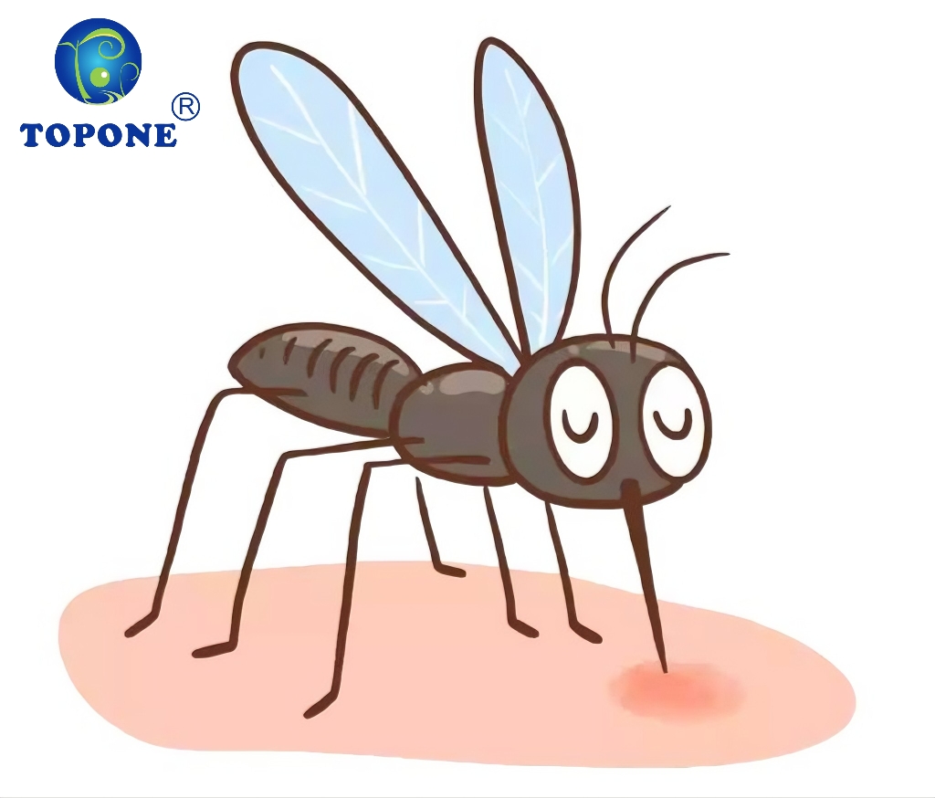 mosquito
