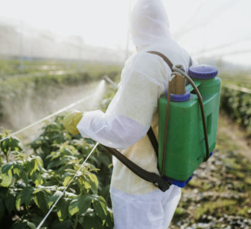productos para el control de plagas